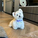 Carmina Valadez Avatar