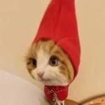 Mauricio Calderón Avatar